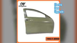 Hyundai Elantra Door Panel Assembly 21-24