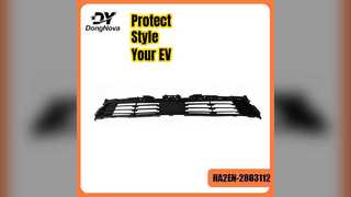 BYD Qin Plus EV Grille Upgrade