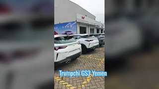 The whole car goes out to sea! GAC Trumpchi GS3 sent to Yemen
